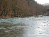      - 2009