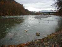      - 2009