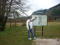      - 2009