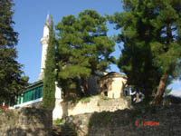      - 2009