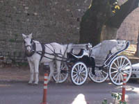      - 2009