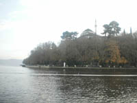      - 2009