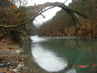      - 2009