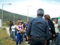      - 2010