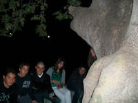      - 2010