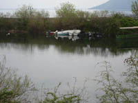      - 2010