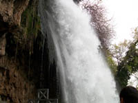      - 2010