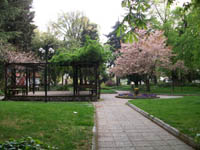      - 2010