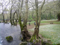      - 2010