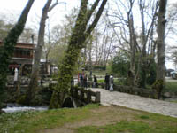      - 2010