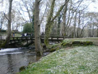      - 2010