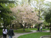      - 2010