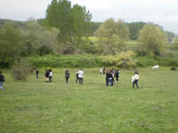      - 2010