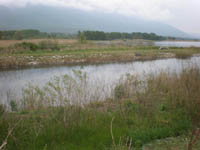      - 2010