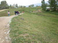      - 2010