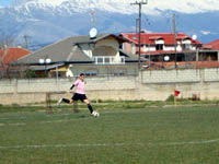 2   -       -  2010