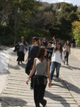   project    
