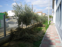   2014