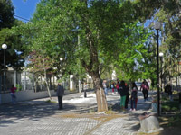   2014