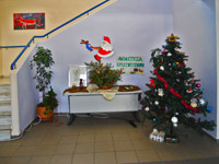  2013