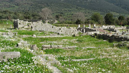  2015