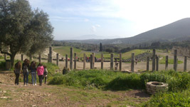  2015
