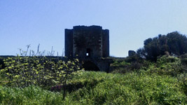  2015