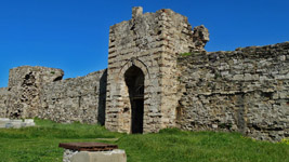  2015