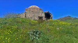  2015