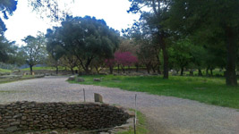  2015