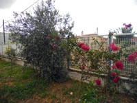     2015-16