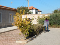     -     2015