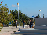     -     2015
