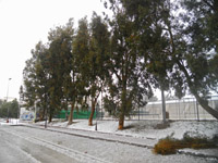    -  2016