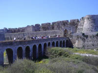    2011