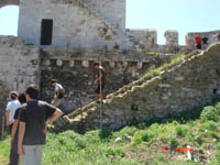    2011