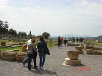    2011