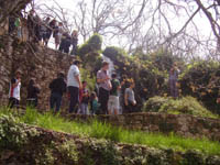    2011