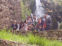    2011