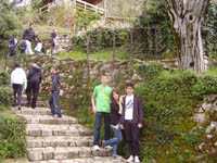    2011