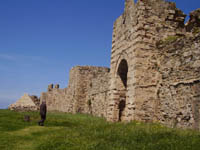    2011