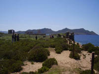   2011
