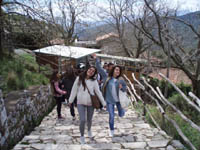    2011