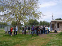    2011
