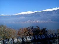     2012