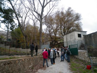        - 2012