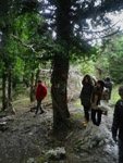        - 2012