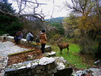        - 2012