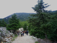        - 2012