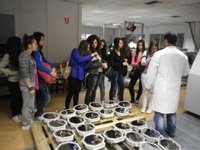 Intracom - AIT 2013
